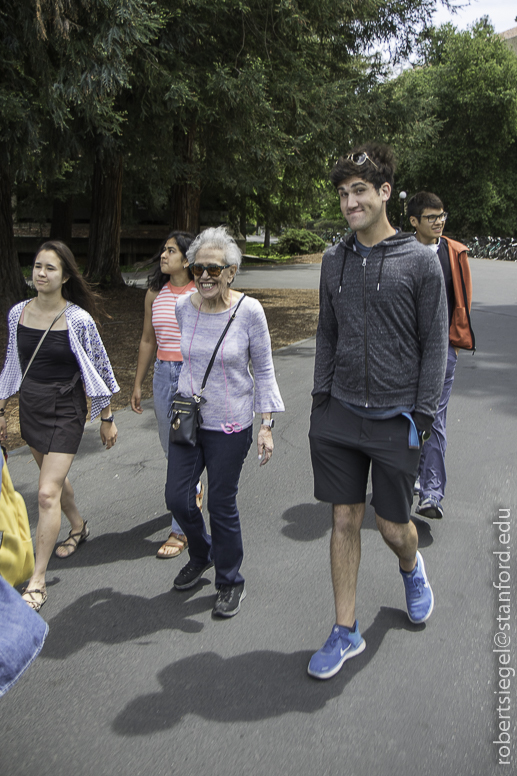 stanford tree walk 2019